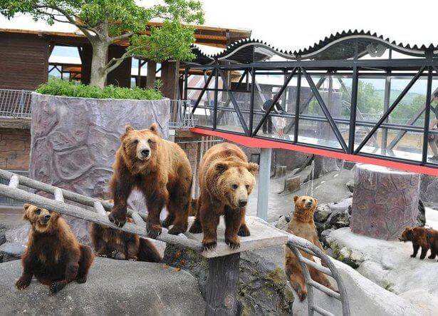 阿蘇カドリー・ドミニオン