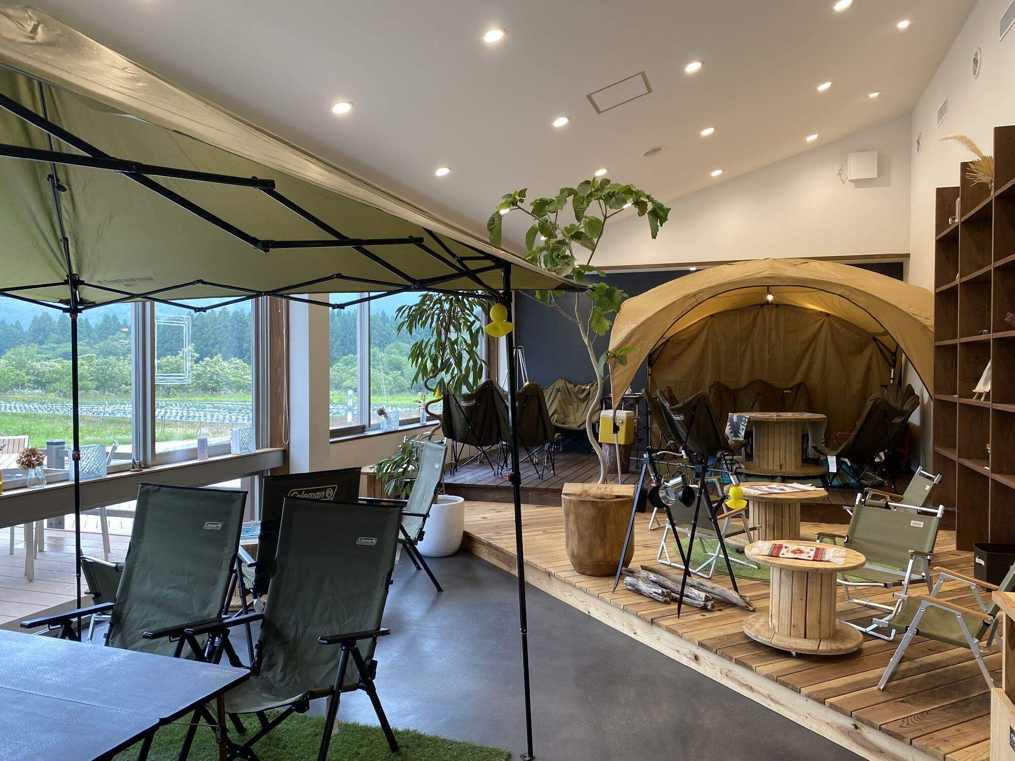 並木カフェ メタセコイア