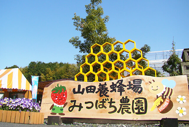 山田養蜂場みつばち農園