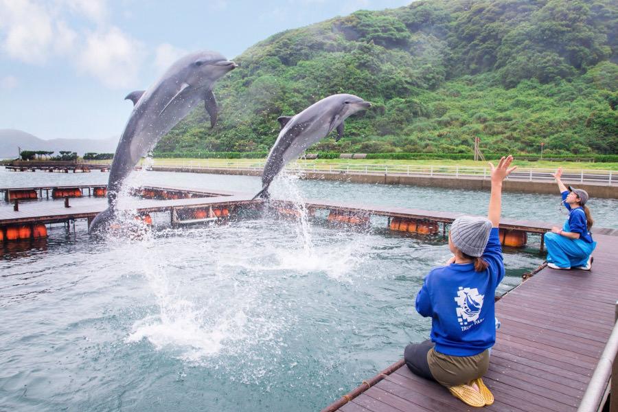 壱岐イルカパーク＆リゾート