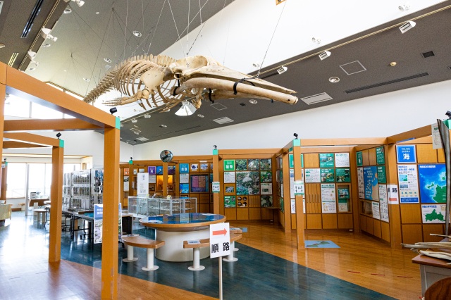 つのしま自然館