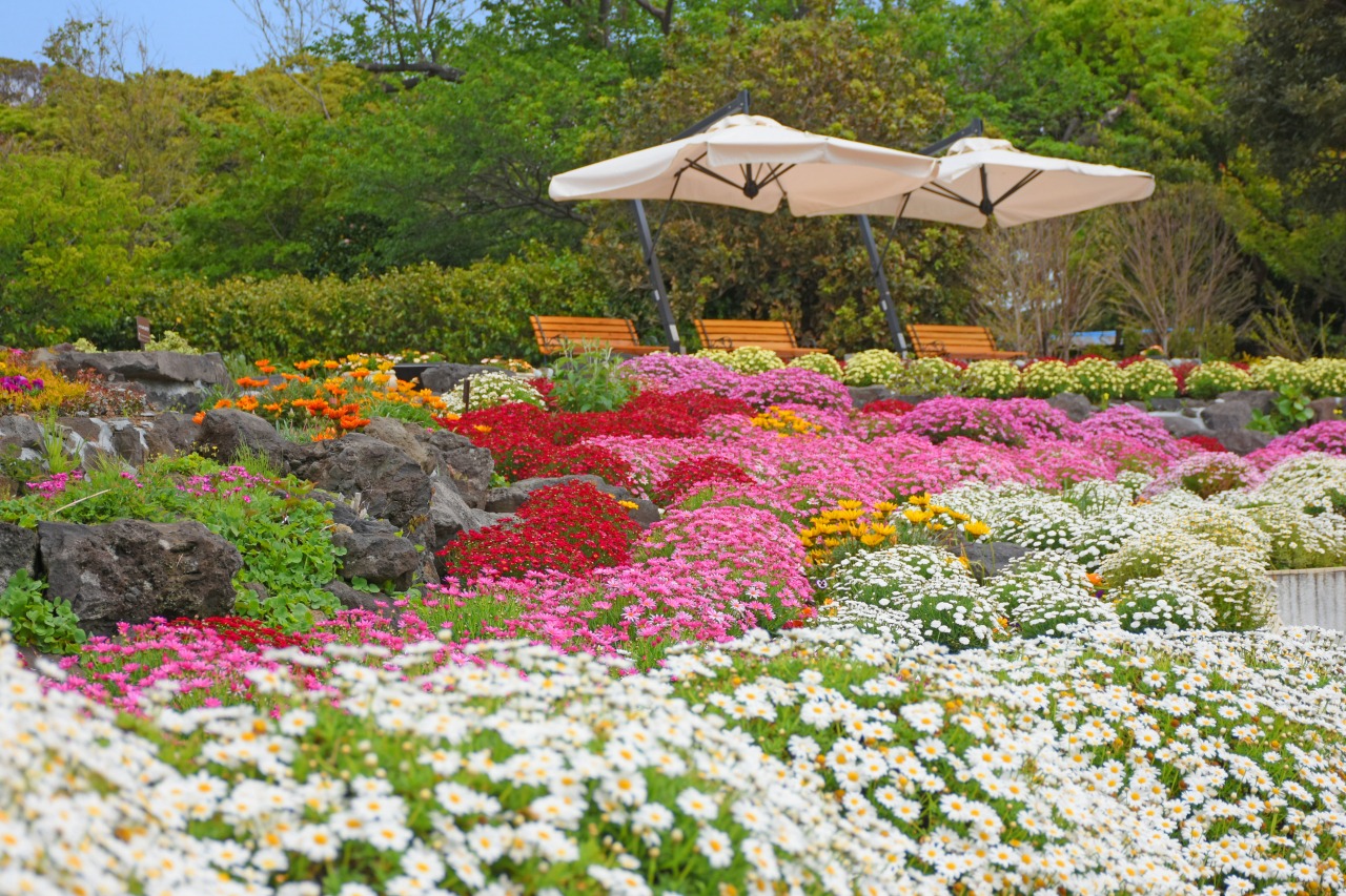 伊良部大橋ニューヨークランプミュージアム&フラワーガーデン