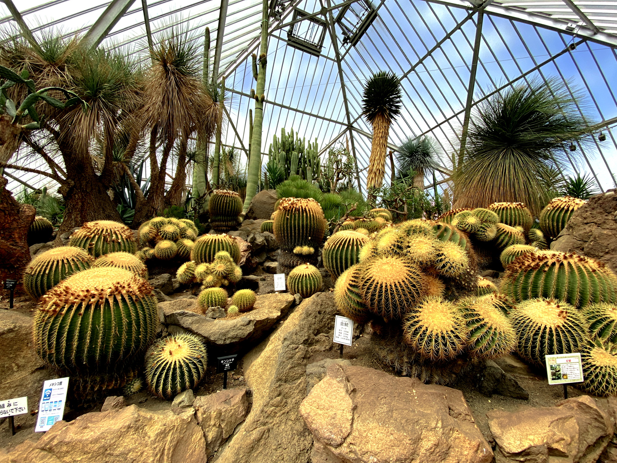 伊豆シャボテン動物公園