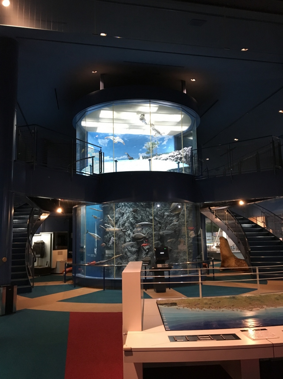 岩手県立水産科学館