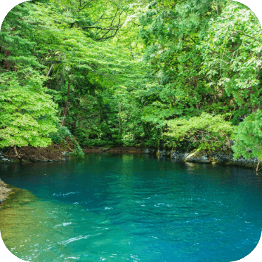 ィトムカの入江